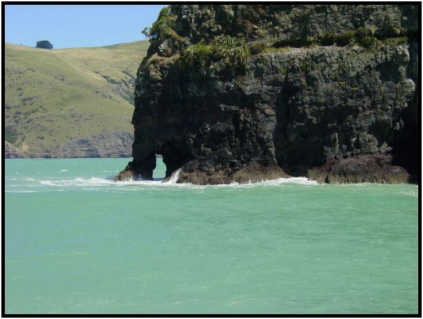 misc: nature faces : s-dsc012161.jpg