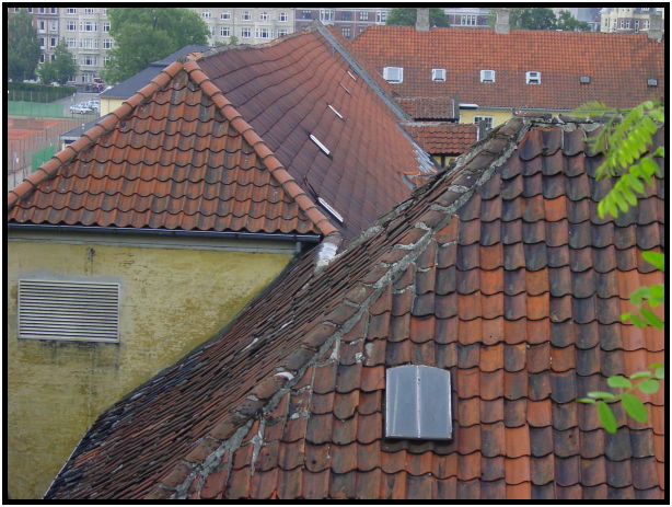 place: Denmark: Copenhagen: Copenhagen city : s-dsc023716.jpg