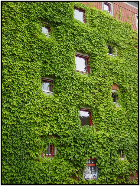 place: Denmark: Copenhagen: Copenhagen city : s-dsc023763.jpg