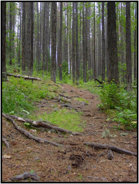 place: Canada: British Columbia: Ford George Canyon Provincial Park : s-dsc025855.jpg