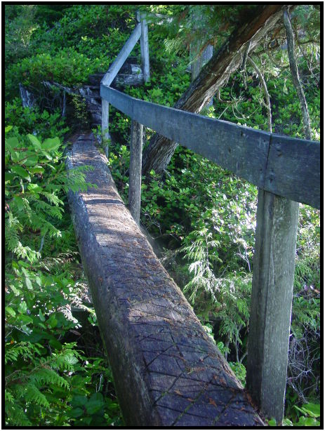 site: man made: bridge : s-dsc07086.jpg
