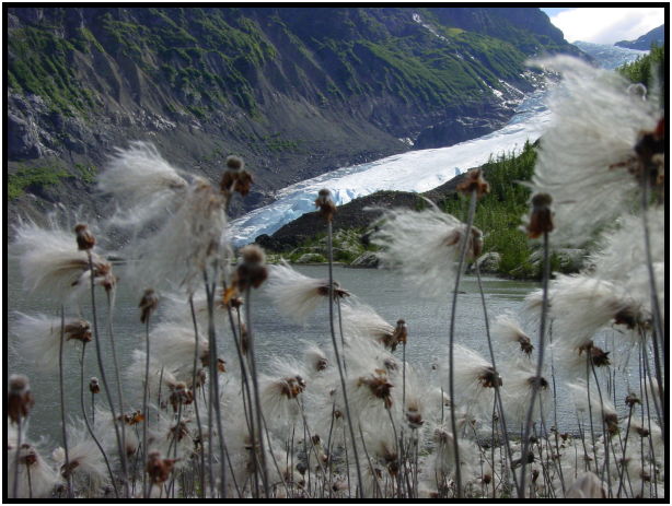 place: Canada: Yukon: Bear Glacier : s-dsc026889.jpg