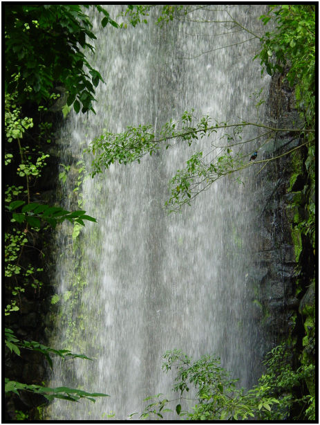 site: water: waterfall : s-dsc011491.jpg