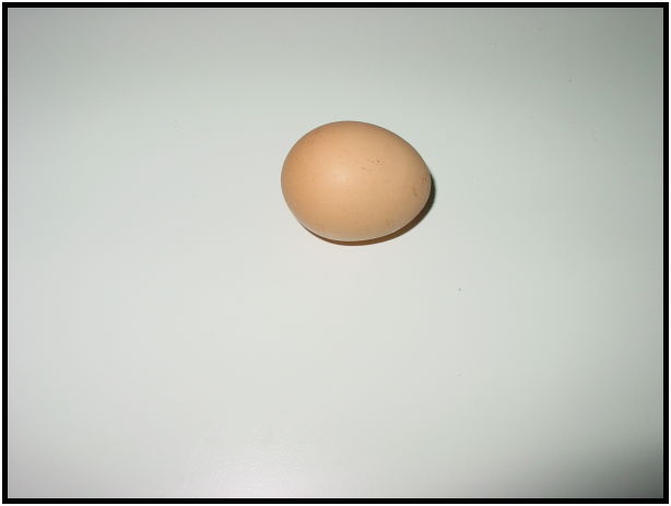object: egg : s-dsc010015.jpg