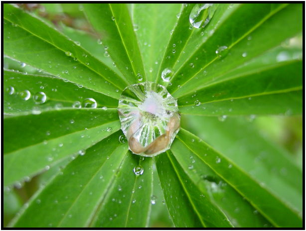 place: New Zealand: Arthur's Pass : s-dsc012218.jpg