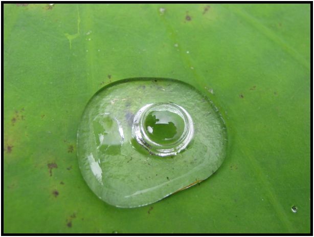 site: water: water droplet : s-dsc012887.jpg