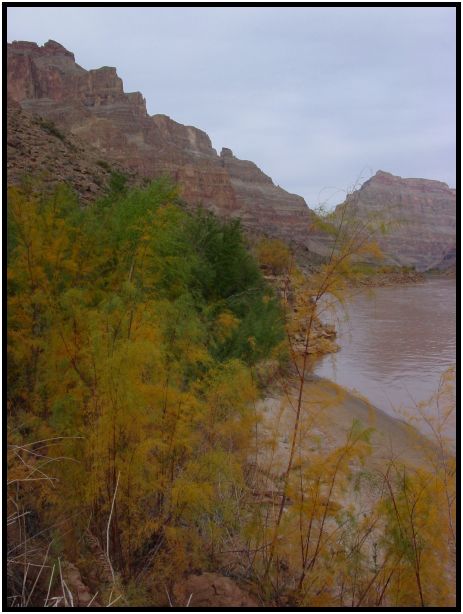 place: USA: Arizona: Grand Canyon : s-dsc015193.jpg