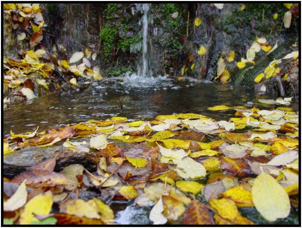 place: Australia: Victoria: Hepburn Springs and Daylesford : s-dsc016547.jpg