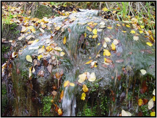 place: Australia: Victoria: Hepburn Springs and Daylesford : s-dsc016549.jpg