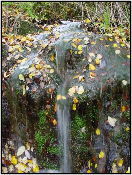 place: Australia: Victoria: Hepburn Springs and Daylesford : s-dsc016550.jpg