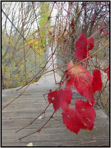 place: Australia: Victoria: Hepburn Springs and Daylesford : s-dsc016567.jpg