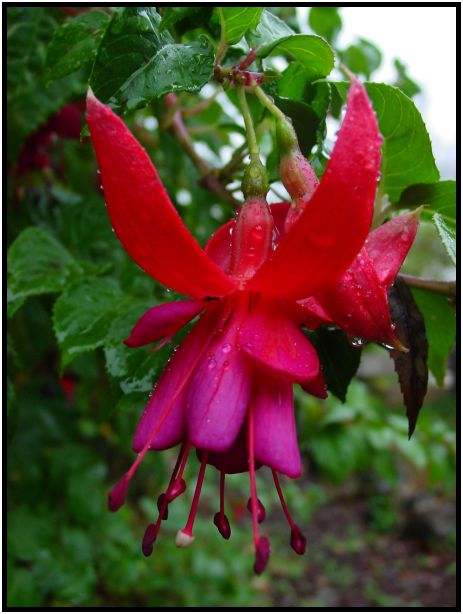 place: Australia: Victoria: Hepburn Springs and Daylesford : s-dsc016576.jpg