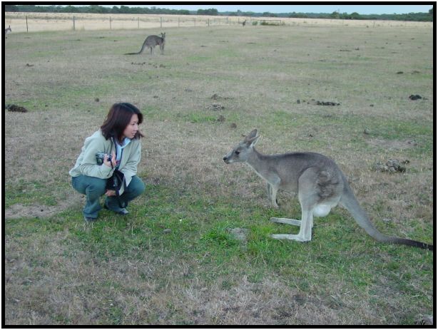 place: Australia: Victoria: SeaMist : s-dsc015579.jpg