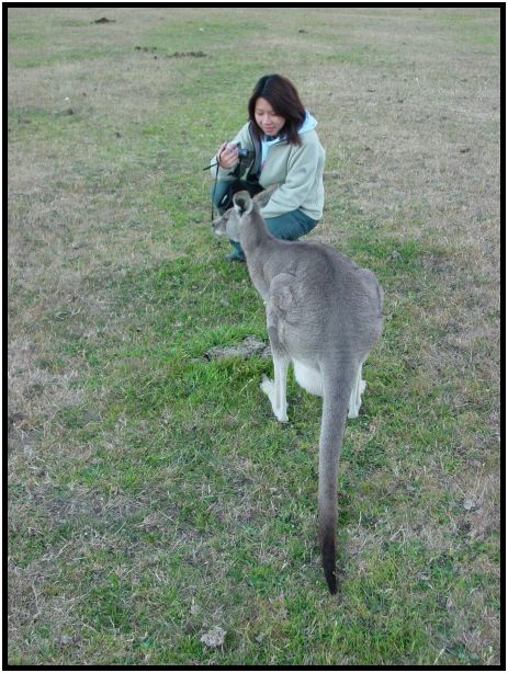 place: Australia: Victoria: SeaMist : s-dsc015580.jpg