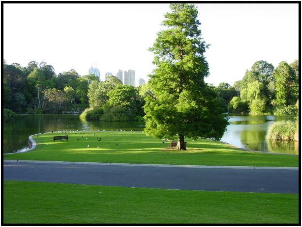 place: Australia: Victoria: Melbourne: Melbourne city : s-dsc015401.jpg