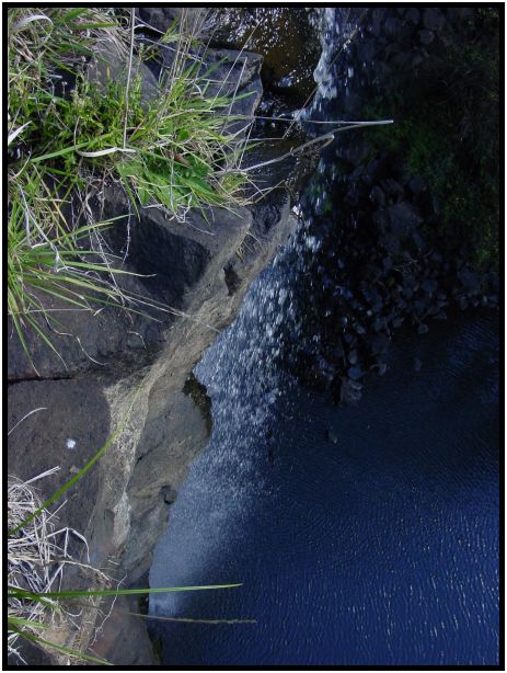 place: Australia: Victoria: Mt. Macedon : s-dsc016634.jpg