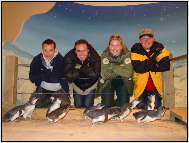 animal: penguin : s-dsc016182.jpg