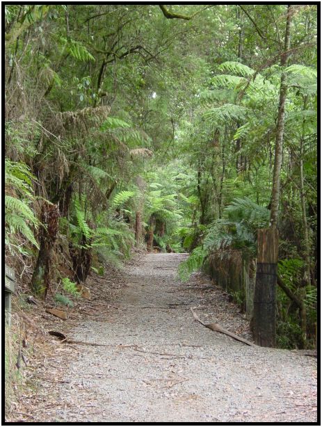 site: landscape: misc landscape : s-dsc015802.jpg