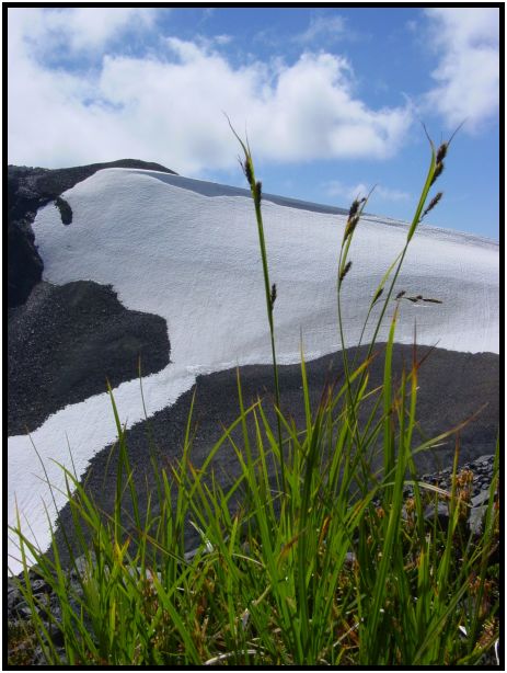 site: landscape: misc landscape : s-dsc017815.jpg