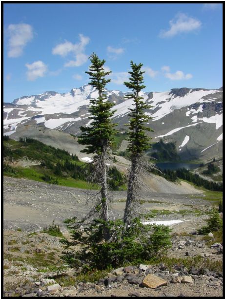 site: earth: snow : s-dsc017820.jpg