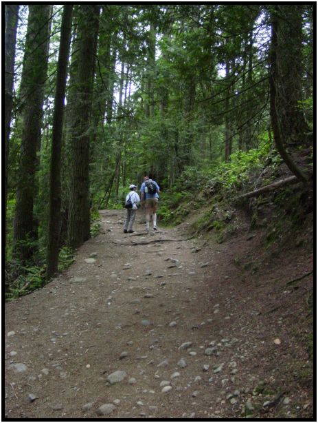 place: Canada: British Columbia: Vancouver: Lynn Valley : s-dsc016939.jpg