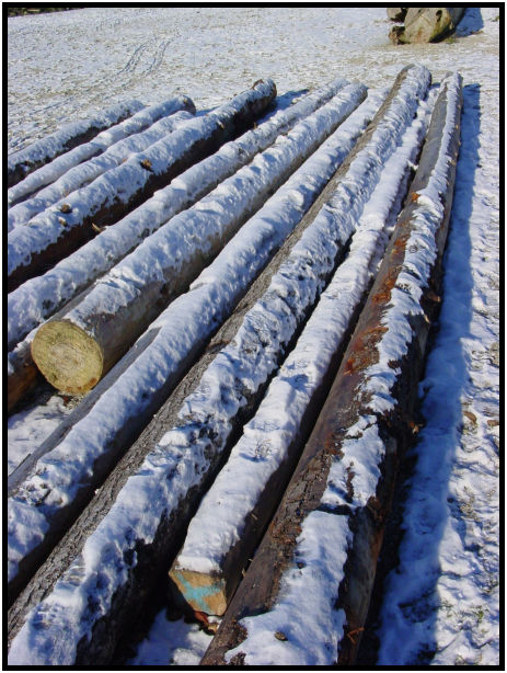 site: earth: snow : s-dsc018454.jpg