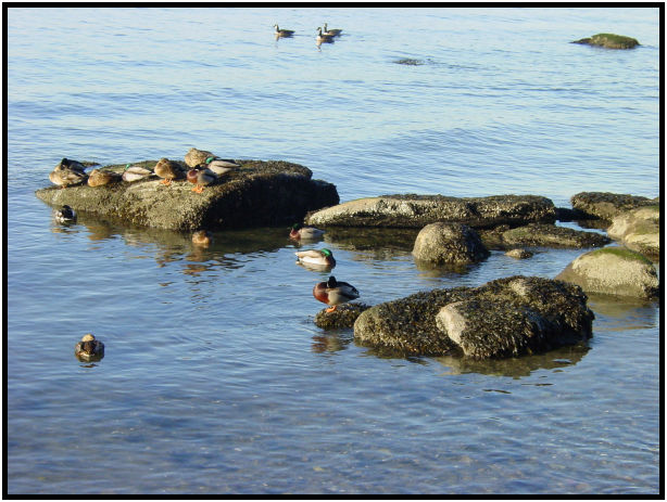 site: landscape: rock : s-dsc018489.jpg