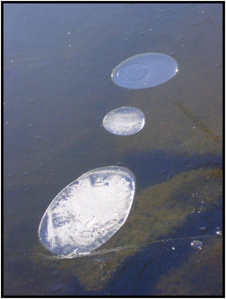 site: earth: ice : s-dsc018551.jpg