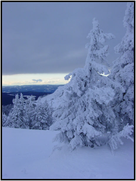 place: Canada: British Columbia: Sun Peaks Ski Resort : s-dsc018370.jpg