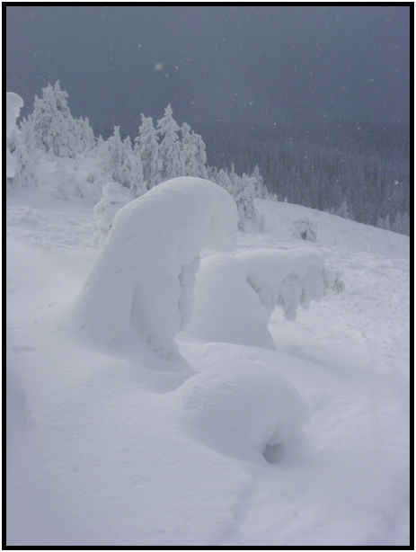 site: earth: snow : s-dsc018436.jpg