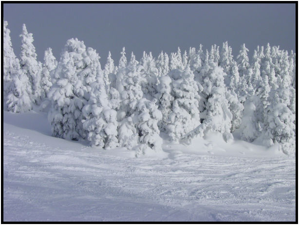 person: action: skiing : s-dsc018447.jpg
