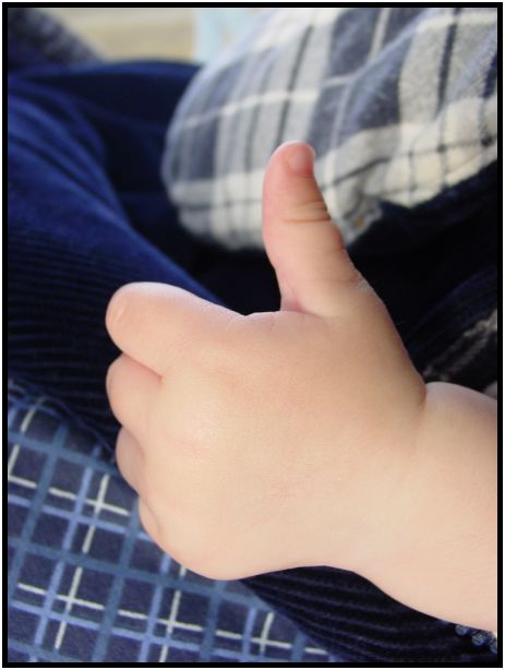 person: body: hand : s-dsc017623.jpg