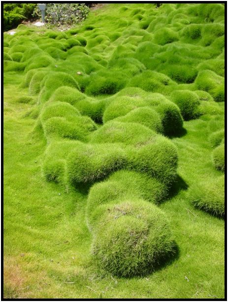 place: Israel: Haifa: Bahai Gardens : s-dsc017323.jpg