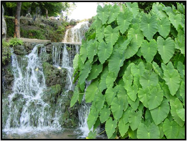 site: water: waterfall : s-dsc017280.jpg