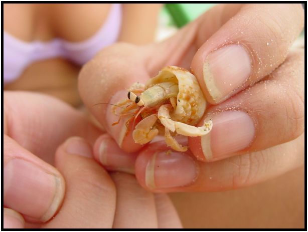 person: people: women : s-dsc016699.jpg