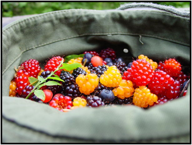 object: clothing: hat : s-dsc020419.jpg