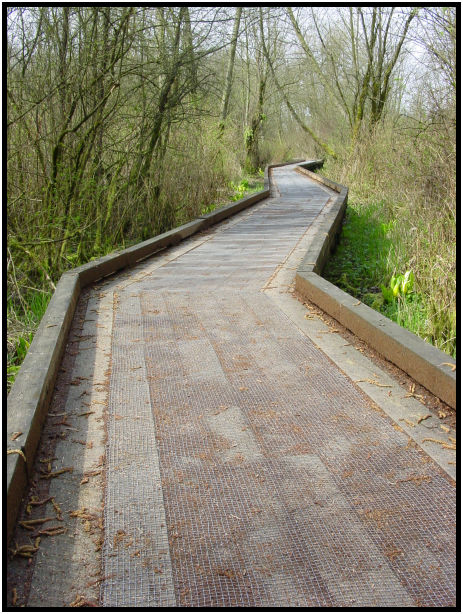 site: landscape: misc landscape : s-dsc019516.jpg