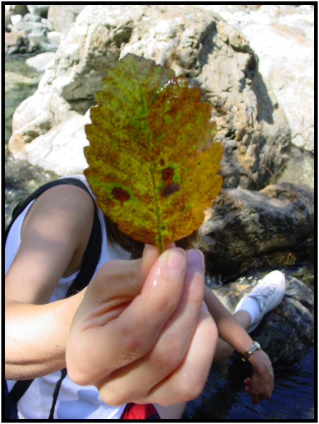 person: people: Sandra Domeikiene : s-dsc020591.jpg