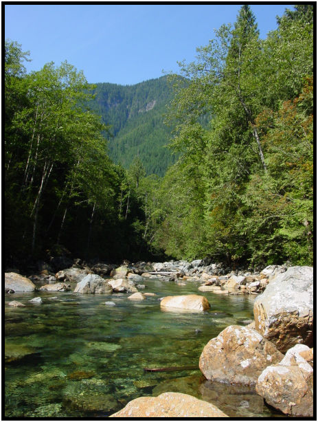 place: Canada: British Columbia: Vancouver: Golden Ears Park : s-dsc020597.jpg