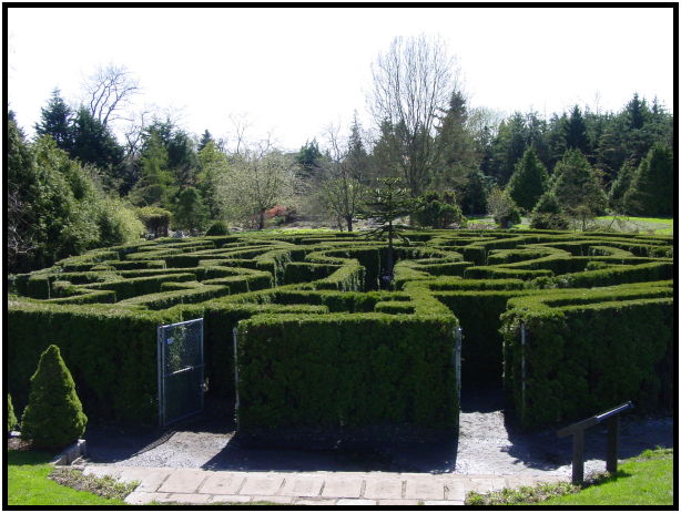 place: Canada: British Columbia: Vancouver: VanDusen Garden : s-dsc029616.jpg