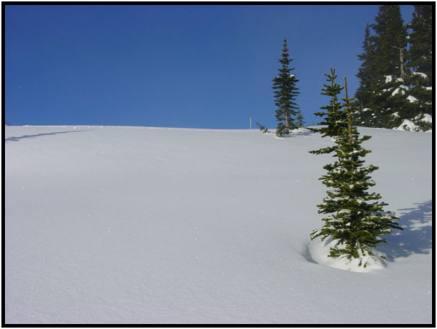 place: Canada: British Columbia: Whistler : s-dsc028841.jpg