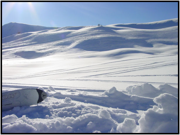 place: Canada: British Columbia: Whistler : s-dsc028868.jpg