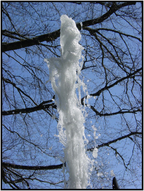 place: Canada: British Columbia: Vancouver Island: Butchart Gardens : s-dsc029751.jpg