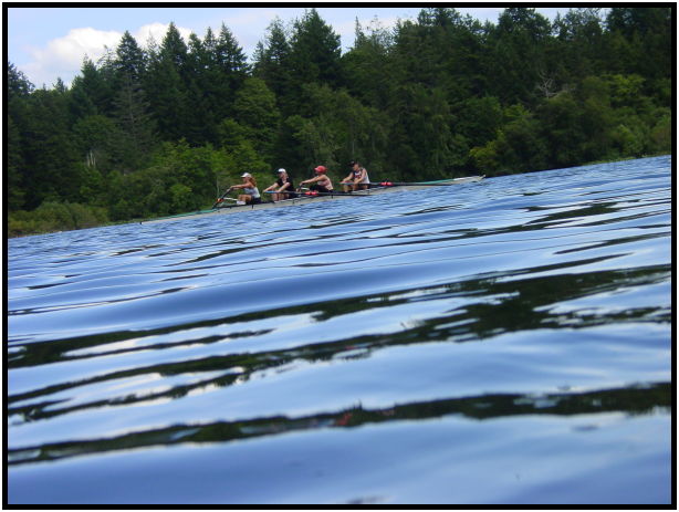 place: Canada: British Columbia: Vancouver Island: Elk Lake : s-dsc020513.jpg