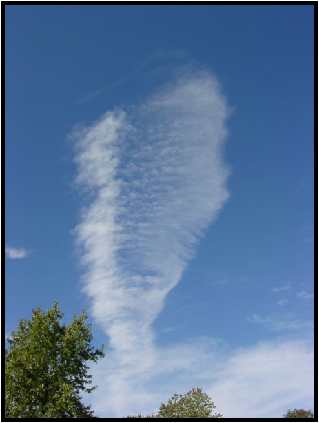 site: sky: cloud : s-dsc020801.jpg