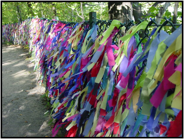 site: landscape: misc landscape : s-dsc020802.jpg