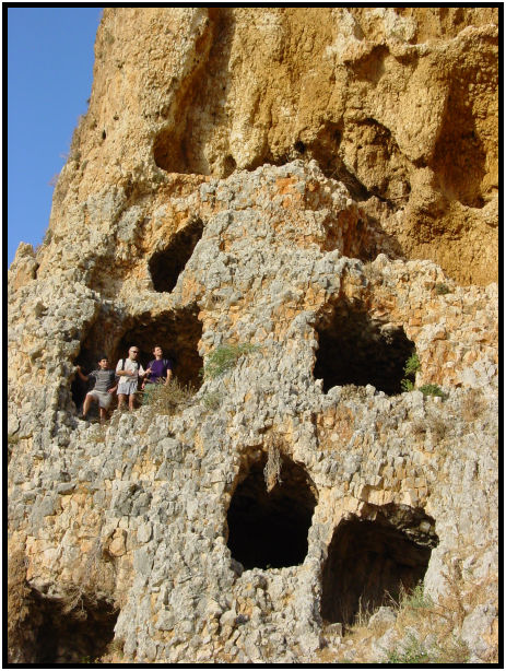 site: landscape: misc landscape : s-dsc020064.jpg