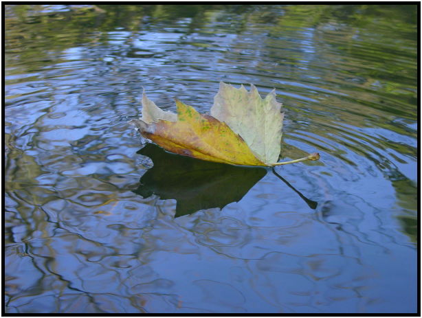 place: Australia: Victoria: Melbourne: Melbourne city : s-dsc022642.jpg