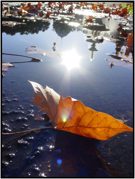 place: Australia: Victoria: Melbourne: Melbourne city : s-dsc022653.jpg