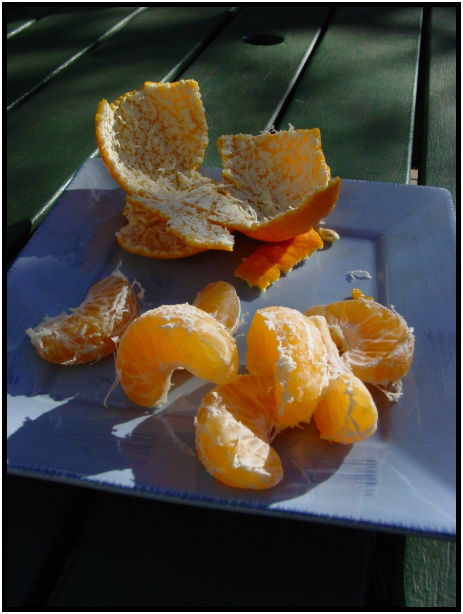 place: Australia: Victoria: Melbourne: Melbourne city : s-dsc022696.jpg